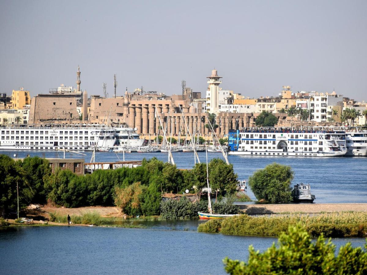 Villa Rebecca الأقصر المظهر الخارجي الصورة