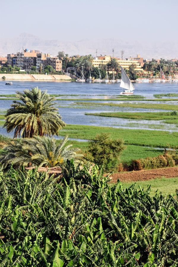 Villa Rebecca الأقصر المظهر الخارجي الصورة